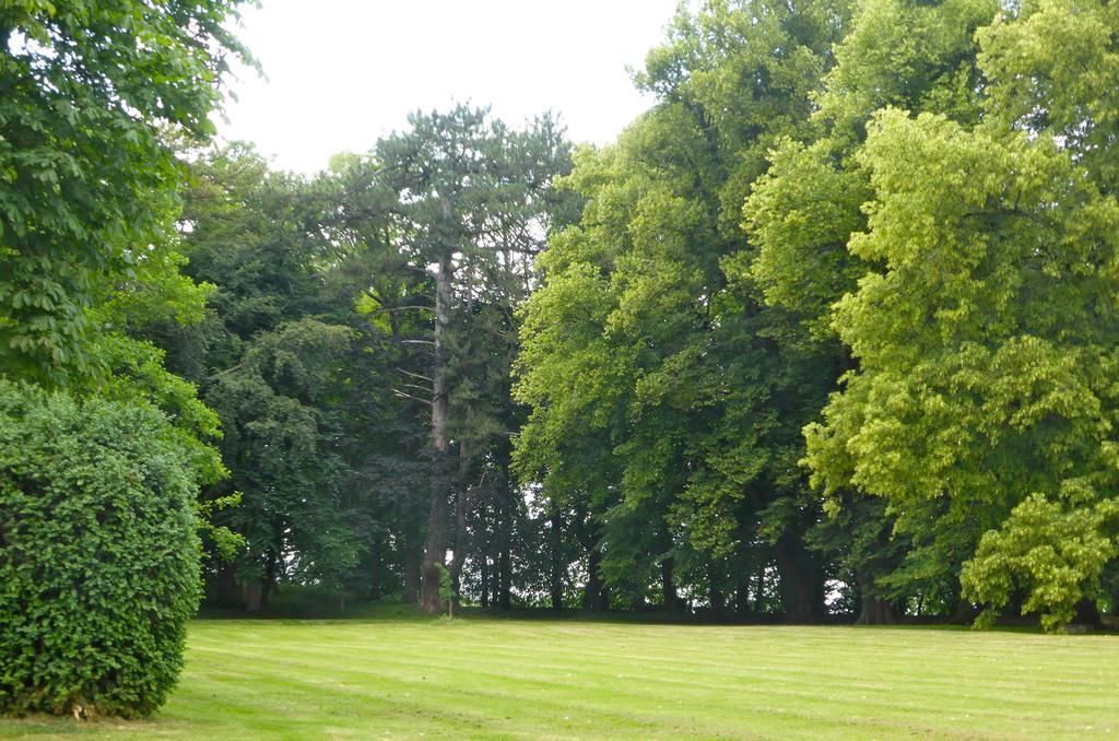 Maison d'hôtes Le Château de Puxe Exterior foto
