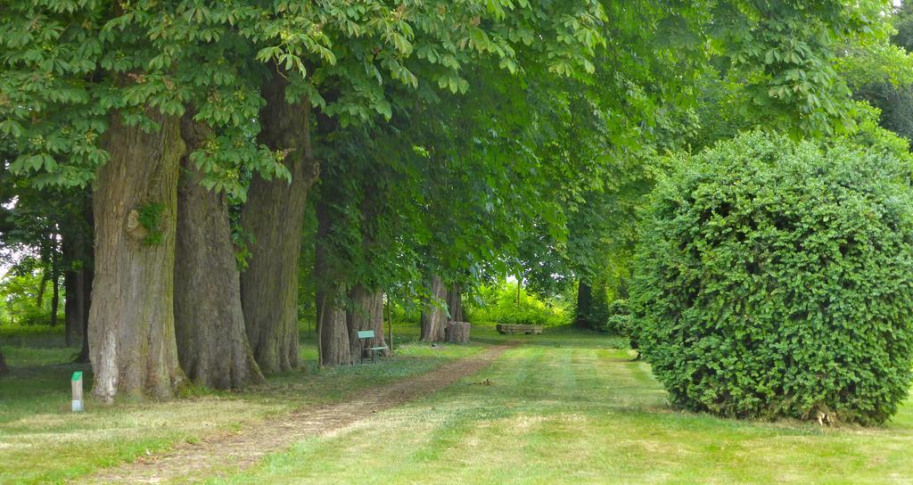 Maison d'hôtes Le Château de Puxe Exterior foto
